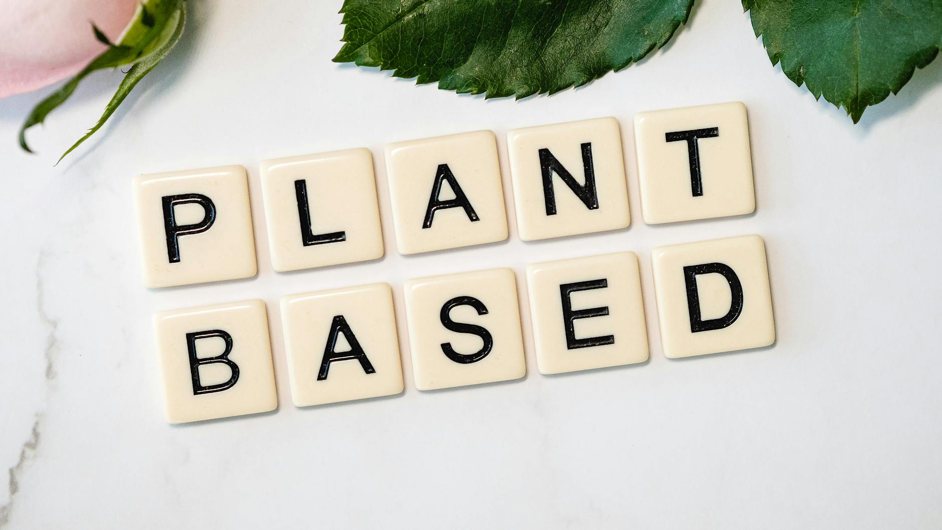 What to know before starting a plant-based diet this summer