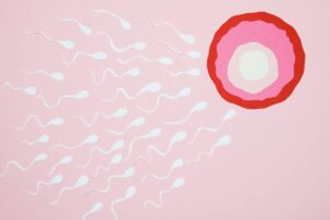 Period Calculator – Calculate Your Next Period, Ovulation & Fertile Window calculator featured image
