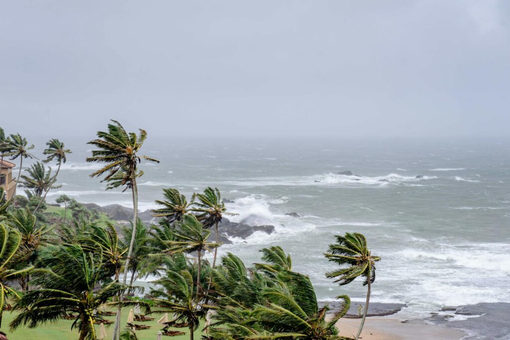 Why people are trying tropical storm-inspired wellness routines this summer related image