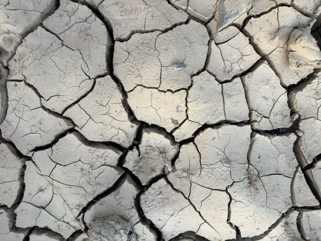 Exploring the beauty trends around the Japan earthquake: lessons from the latest styles related image