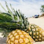 How to plan a summer getaway with healthy eating tips from the lifestyle of Gwyneth Paltrow