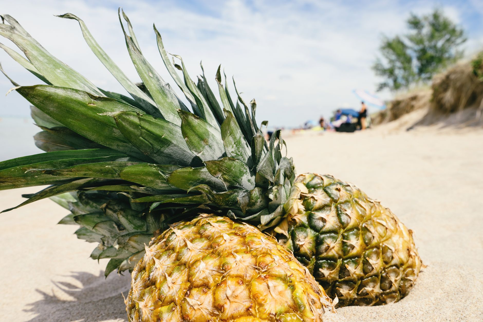 How to plan a summer getaway with healthy eating tips from the lifestyle of Gwyneth Paltrow