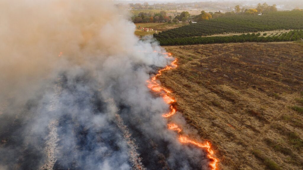 What to know about the climate’s impact on beauty trends this summer related image