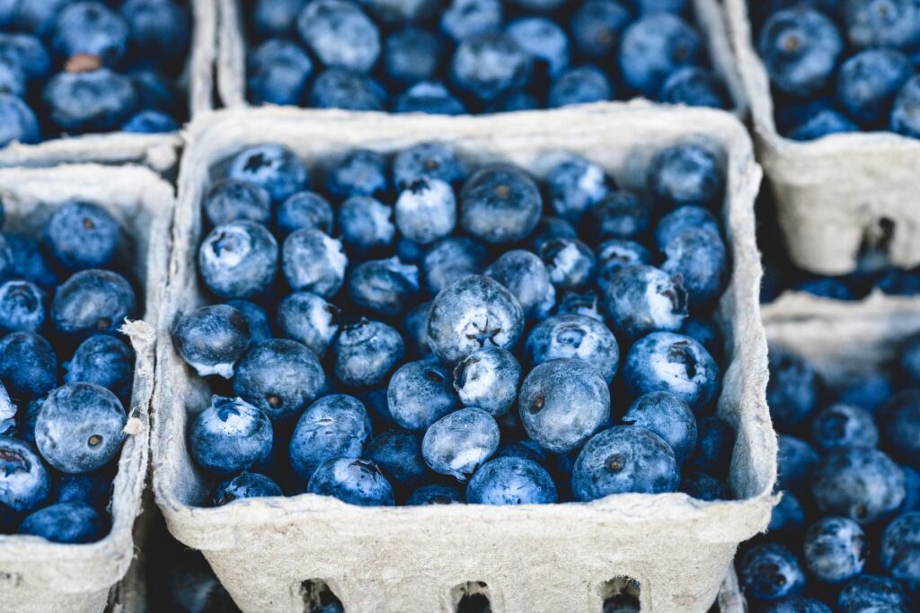 What to know about the blueberry craze that has fans buzzing like Selena Gomez related image
