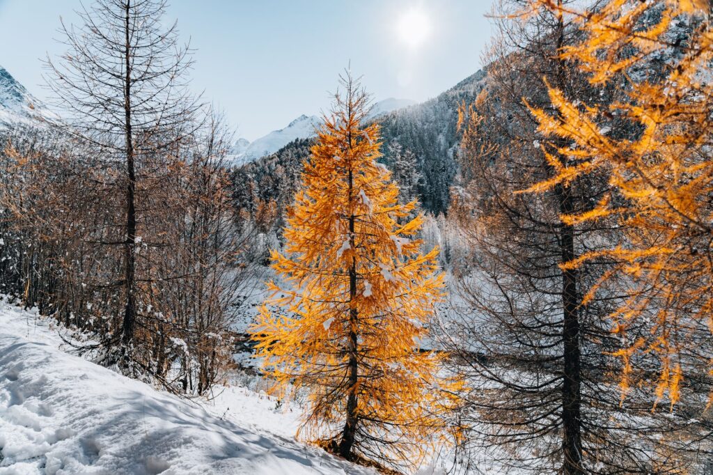 How Seasonal Temperature Changes Can Impact Your Skincare Routine related image