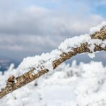 How Seasonal Temperature Changes Can Impact Your Skincare Routine