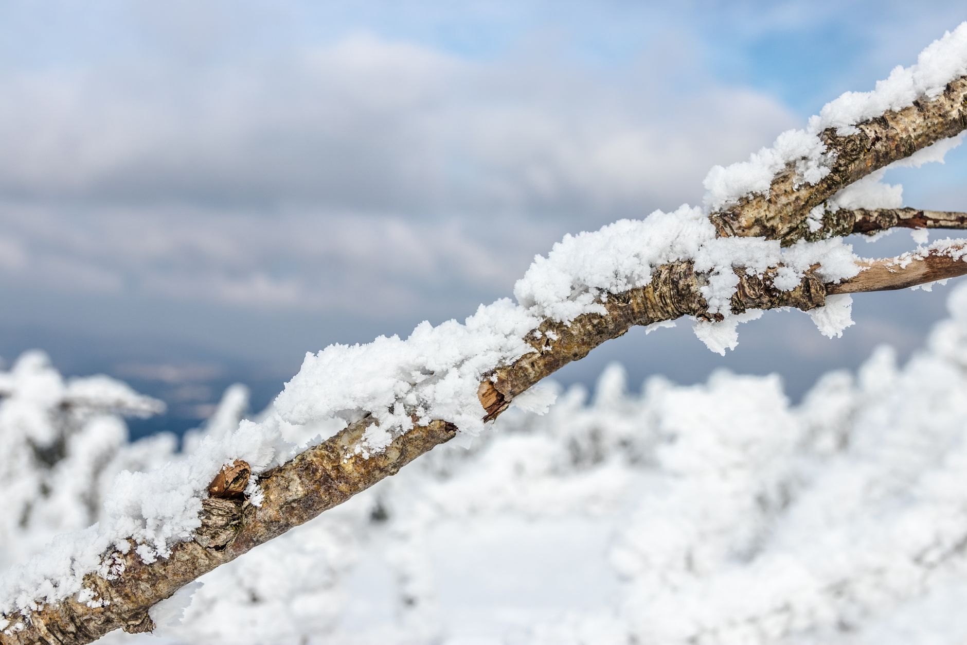 How Seasonal Temperature Changes Can Impact Your Skincare Routine featured image