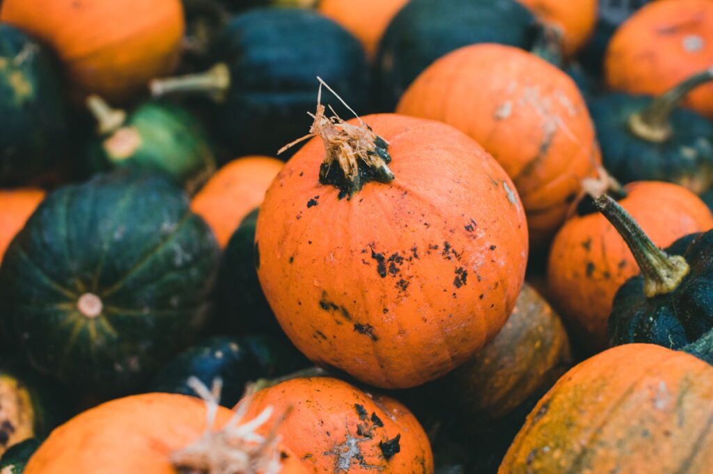 8 Essential Healthy Eating Tips for Your Halloween Treats related image