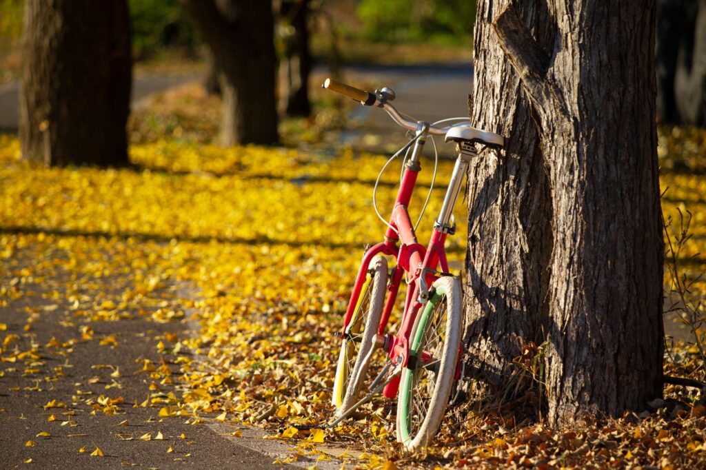 Fall into Fitness: 9 Fun Outdoor Activities to Boost Your Health This Season related image